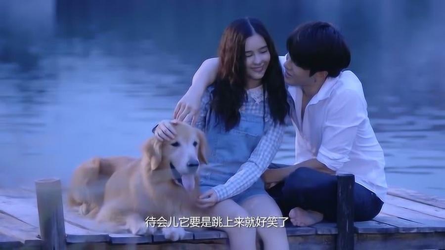 照顾小兔宝宝